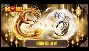 Rồng hổ là gì